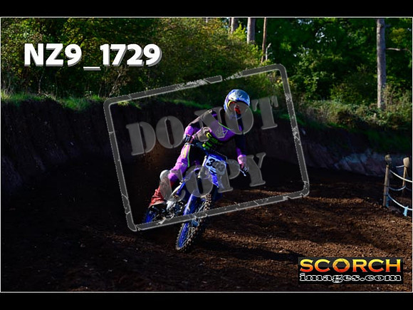 Experts-156