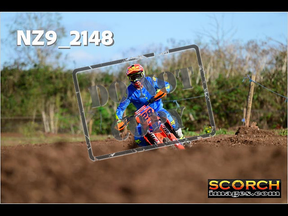 Experts-278