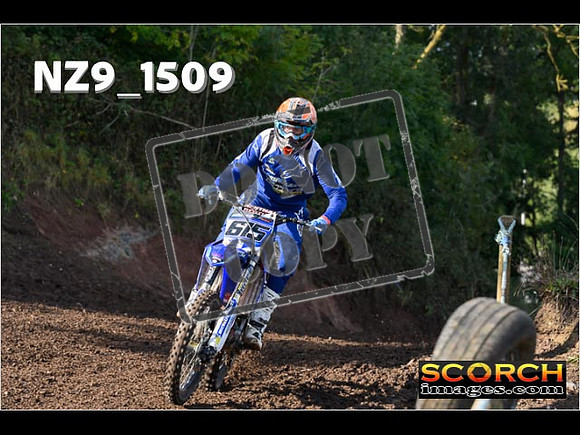 Experts-200