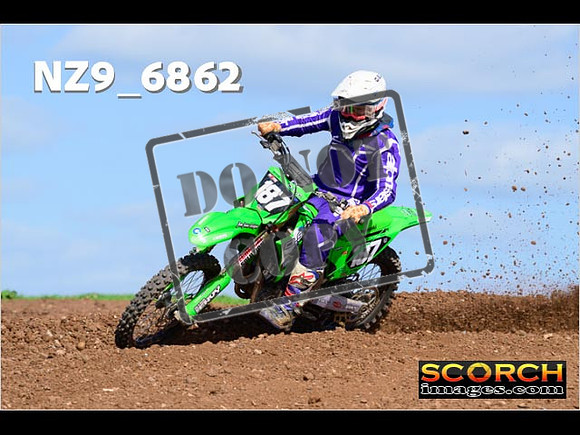 Experts-356