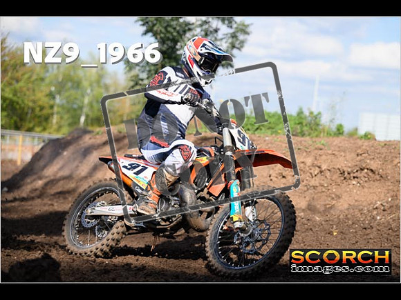 Experts-309