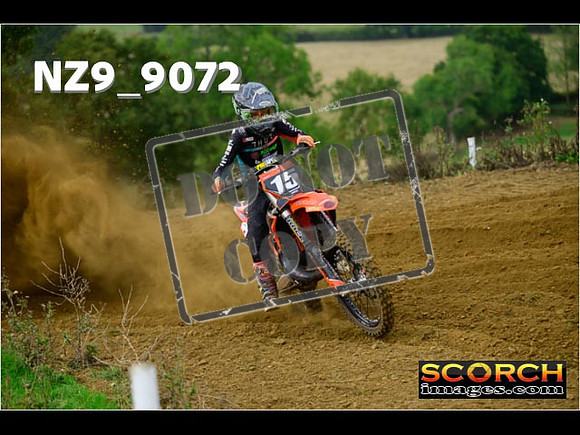 Experts-115