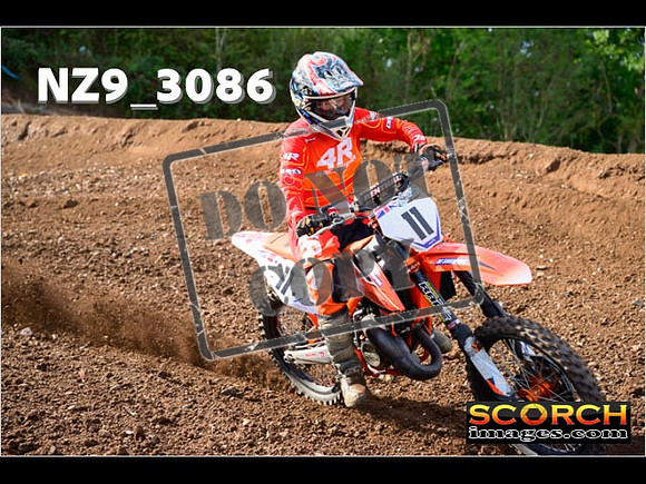 Experts-273