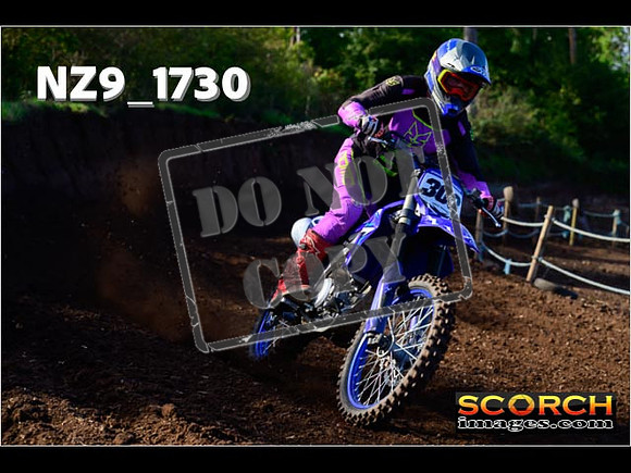 Experts-157