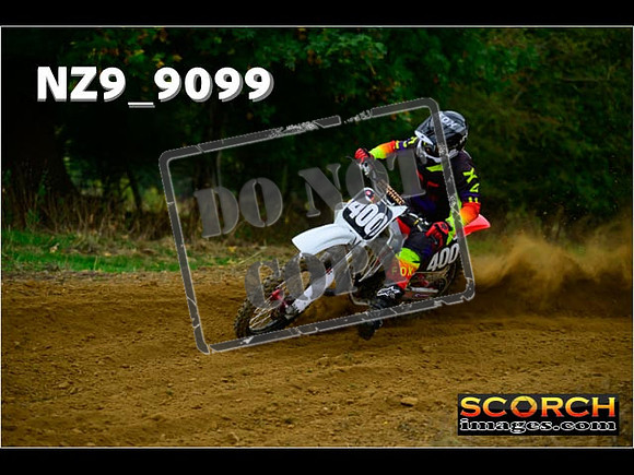 Experts-141