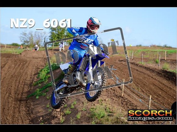 IntersBlue-161