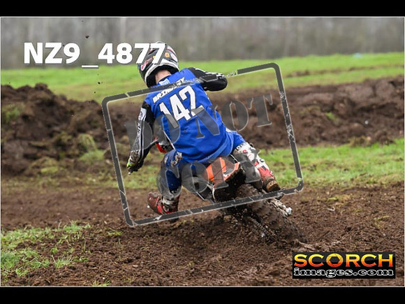 Experts-352