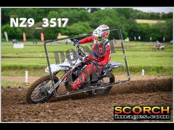 LDR Wed 31-May Experts-030