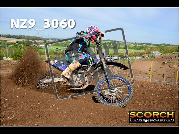 Experts-252
