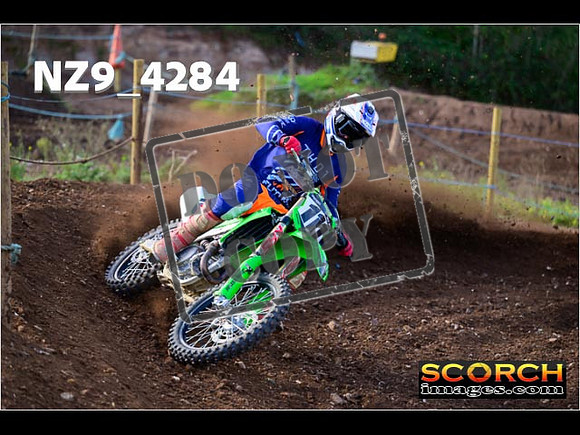 Experts-146