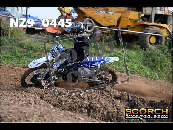 Experts-041