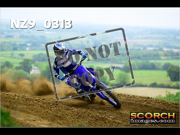 Experts-267