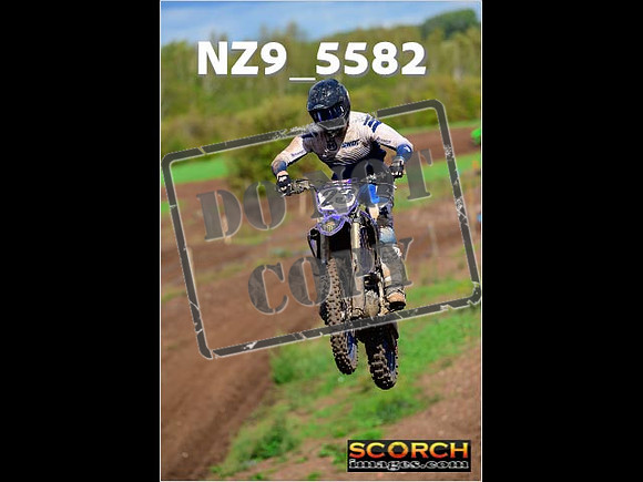 Inters-239
