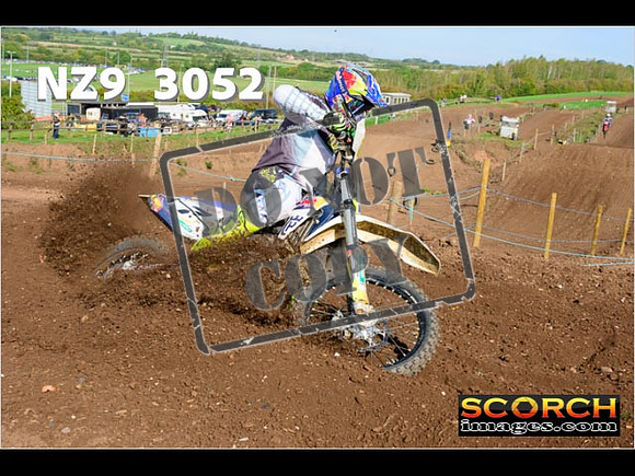 Experts-245