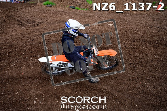 NZ6_1137-2