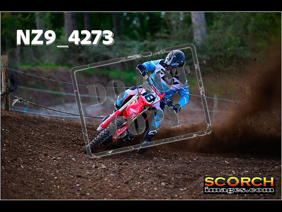 Experts-135