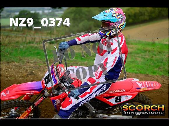 Experts-322