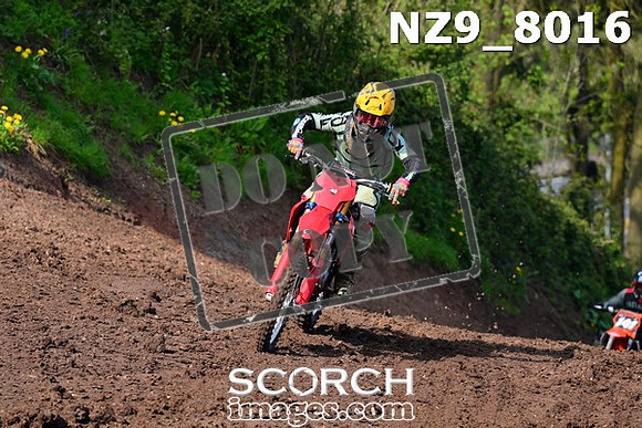 NZ9_8016