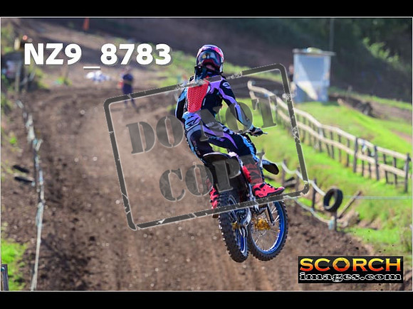 Experts-284