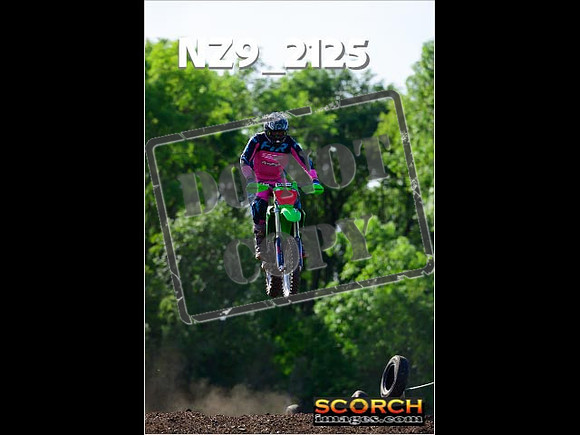 Experts-259
