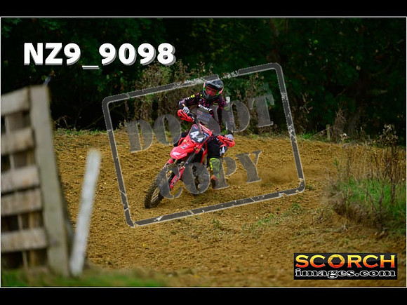 Experts-140