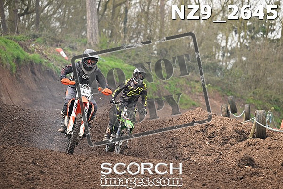 NZ9_2645