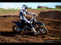 Experts-011