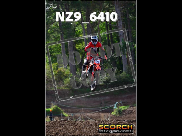 Experts-242