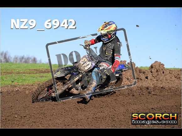 Experts-142