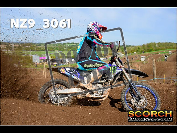 Experts-253