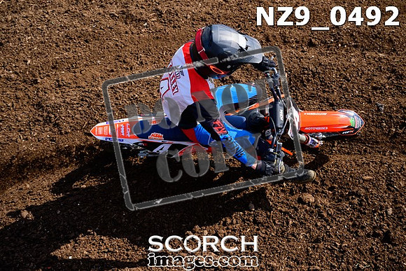 NZ9_0492