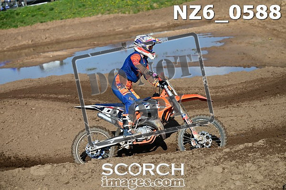 NZ6_0588