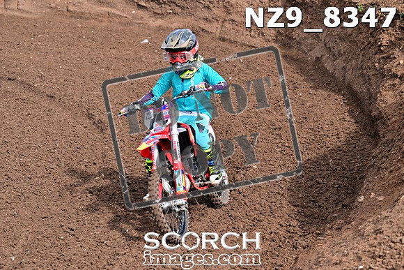 NZ9_8347