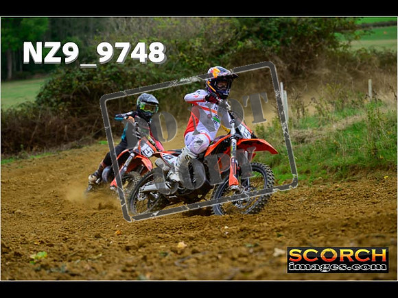 Experts-171