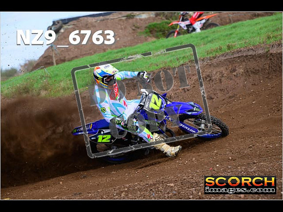 Experts-262