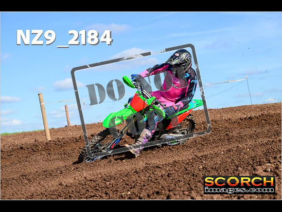 Experts-312