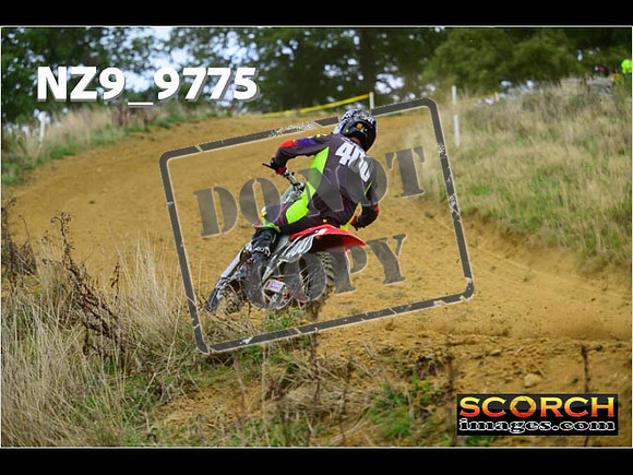 Experts-197