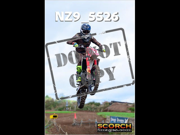 Experts-081