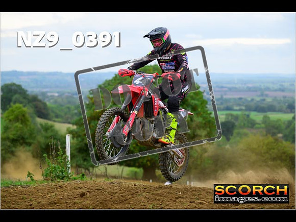 Experts-339