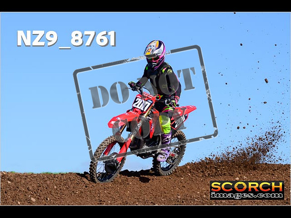 Experts-262