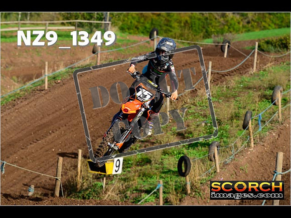 Experts-061