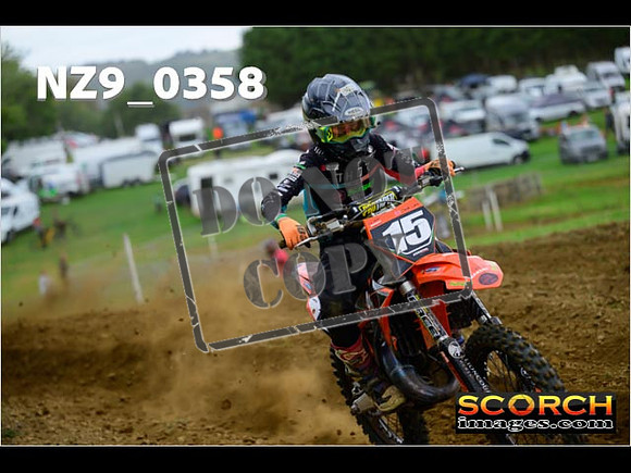 Experts-307