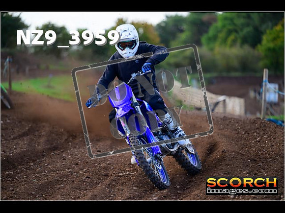 Experts-102