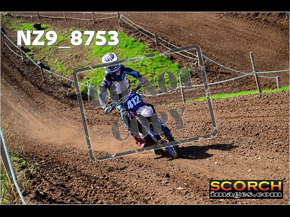 Experts-254