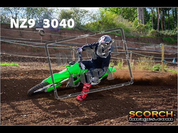 Experts-233