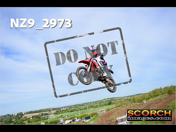 Experts-169
