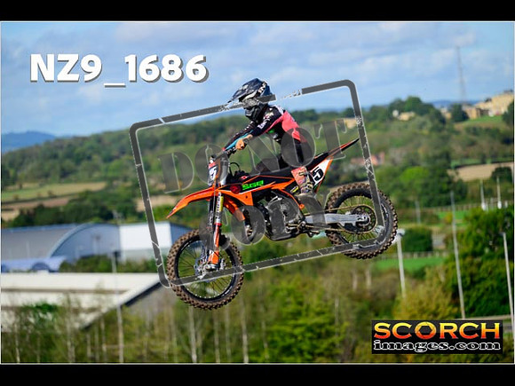 Experts-118