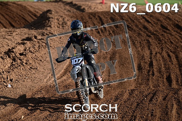 NZ6_0604