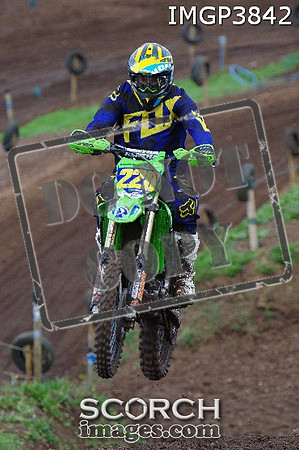 IMGP3842