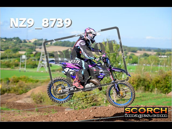 Experts-241